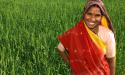 Woman in Field